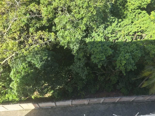 Imagem 4: 0 Apartamento com 2 dormitórios