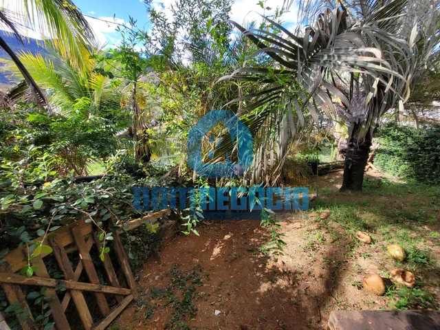 Imagem 5: Chácara com 3 dormitórios à venda,26000.00 m², GOVERNADOR VALADARES - MG