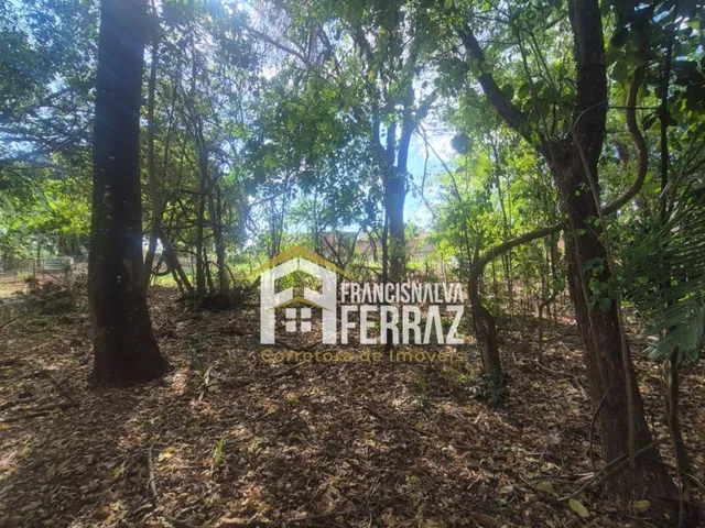 Imagem 15: Vende-Se Chacara Urbana em Costa Rica-Ms