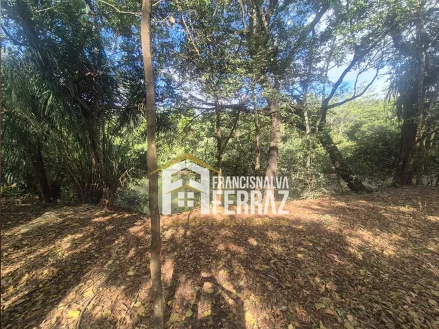 Imagem 14: Vende-Se Chacara Urbana em Costa Rica-Ms