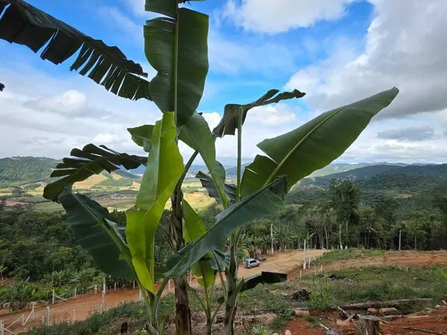 Imagem 14: Terreno à venda no bairro Rachadel - Antônio Carlos/SC