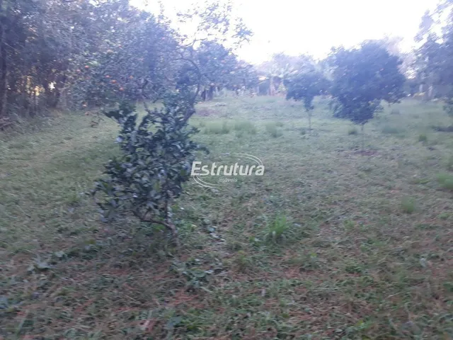 Imagem 13: Chácara 3 dormitórios à venda São José Santa Maria/RS