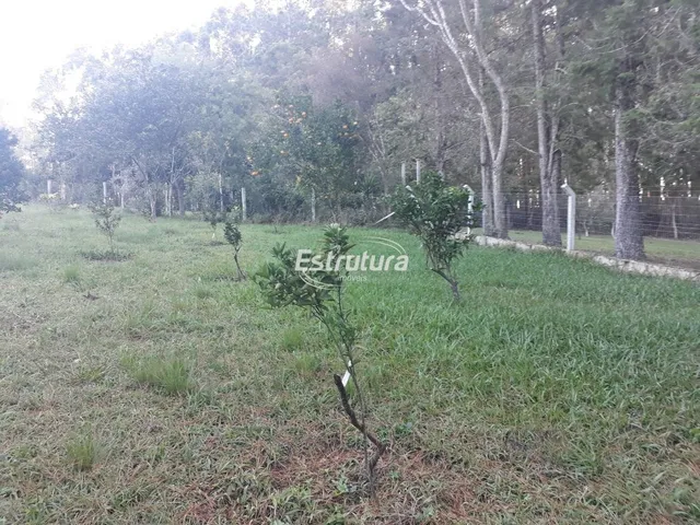 Imagem 16: Chácara 3 dormitórios à venda São José Santa Maria/RS