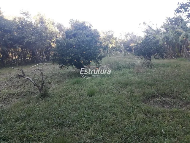Imagem 10: Chácara 3 dormitórios à venda São José Santa Maria/RS