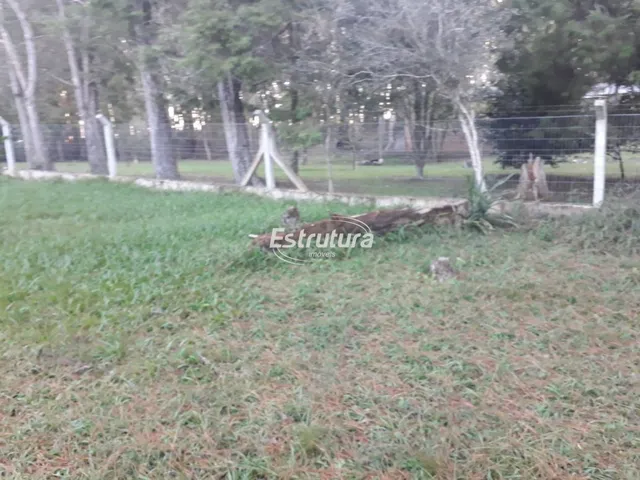 Imagem 3: Chácara 3 dormitórios à venda São José Santa Maria/RS