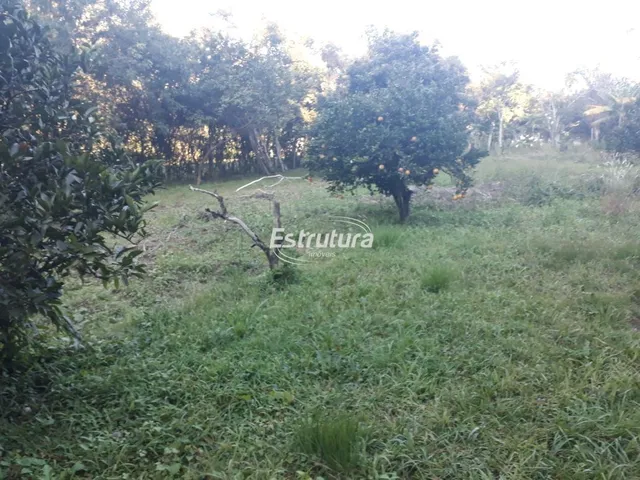 Imagem 7: Chácara 3 dormitórios à venda São José Santa Maria/RS