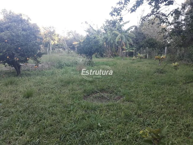 Imagem 11: Chácara 3 dormitórios à venda São José Santa Maria/RS