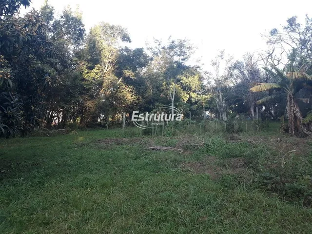 Imagem 6: Chácara 3 dormitórios à venda São José Santa Maria/RS