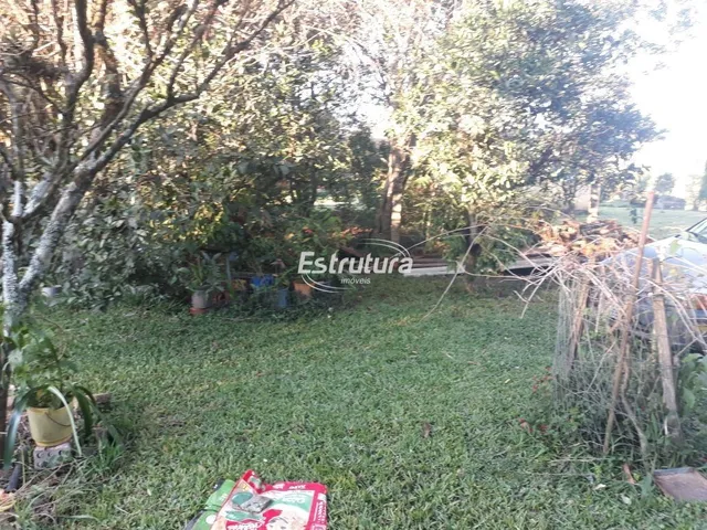 Imagem 4: Chácara 3 dormitórios à venda São José Santa Maria/RS