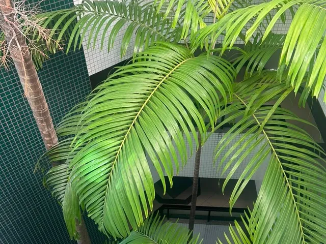 Imagem 5: Atlântico Sul Residence - Rio Vermelho