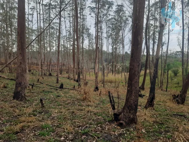 Imagem 9: TERRENO À VENDA EM COTIA QUINTA DOS ANGICOS