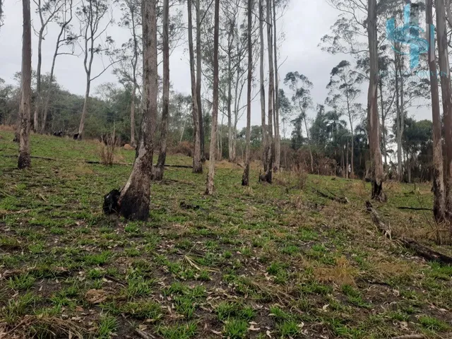 Imagem 8: TERRENO À VENDA EM COTIA QUINTA DOS ANGICOS