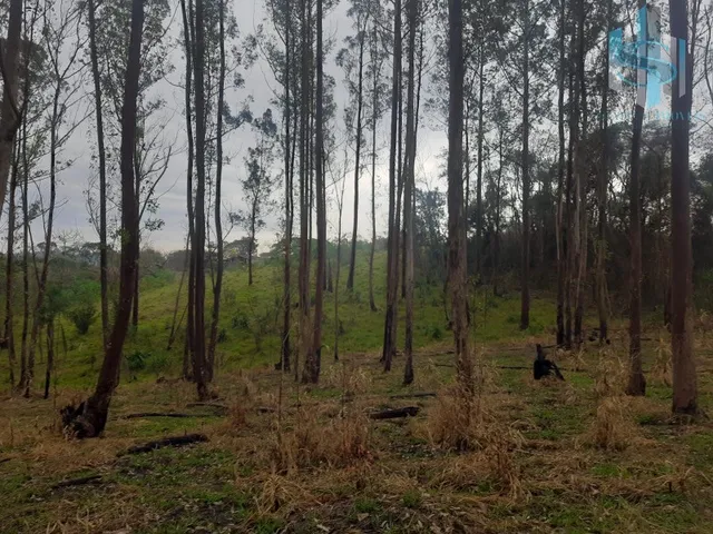 Imagem 3: TERRENO À VENDA EM COTIA QUINTA DOS ANGICOS