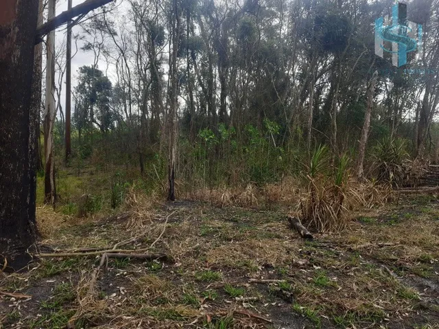 Imagem 10: TERRENO À VENDA EM COTIA QUINTA DOS ANGICOS