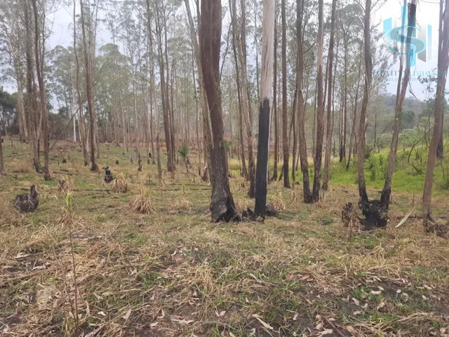Imagem 2: TERRENO À VENDA EM COTIA QUINTA DOS ANGICOS