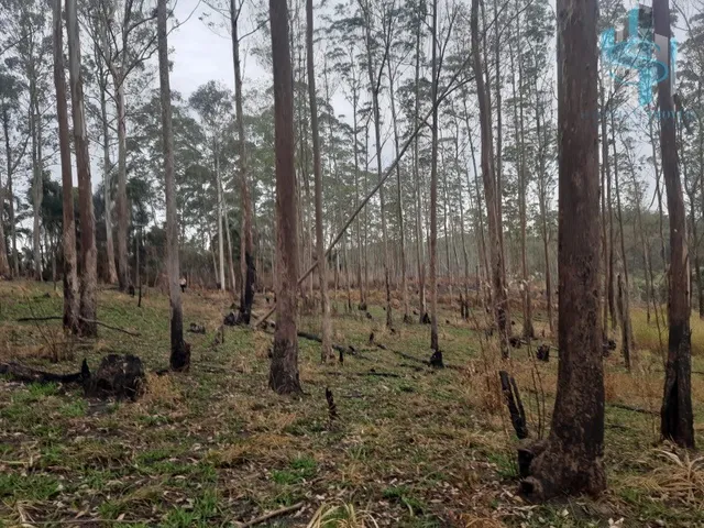 Imagem 5: TERRENO À VENDA EM COTIA QUINTA DOS ANGICOS