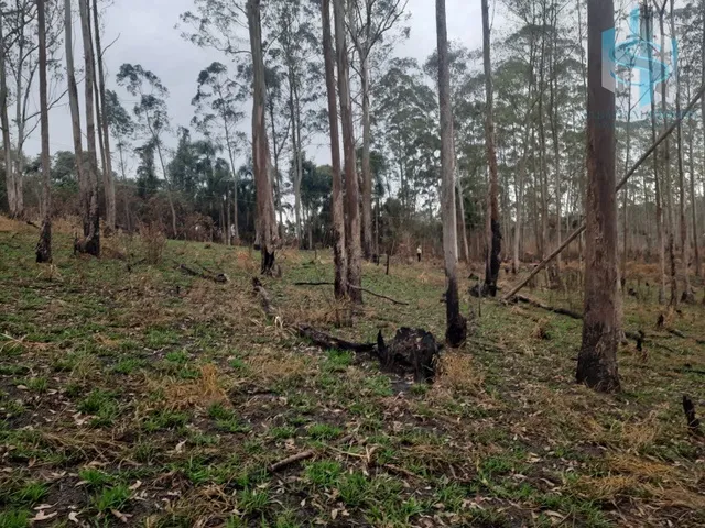 Imagem 7: TERRENO À VENDA EM COTIA QUINTA DOS ANGICOS