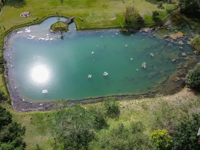 Imagem 8: CHACARA RURAL em SÃO JOSÉ DOS PINHAIS - PR, Faxina