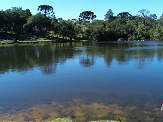 Imagem 4: CHACARA RURAL em SÃO JOSÉ DOS PINHAIS - PR, Faxina