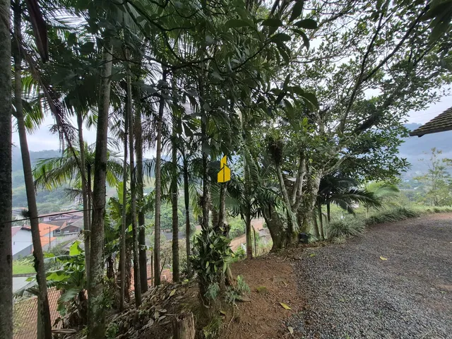 Imagem 7: Casa de Madeira em Benedito Novo-Sc
