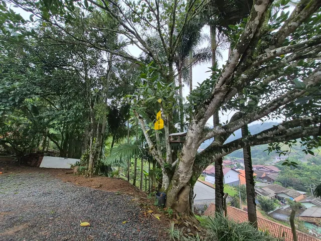 Imagem 13: Casa de Madeira em Benedito Novo-Sc