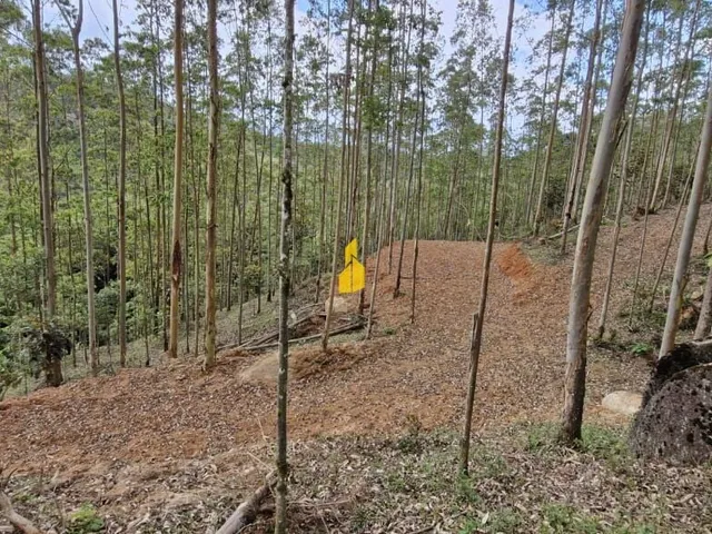 Imagem: Terrenos rurais em Rodeio - Abíssinia