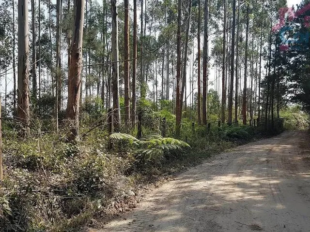 Imagem: Área Rural 5 Alqueires - Campina do Vargedo