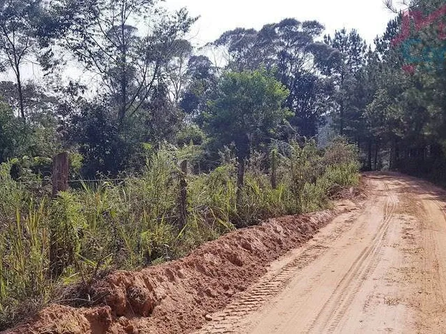 Imagem 11: Área Rural 5 Alqueires - Campina do Vargedo - Campo Largo - PR
