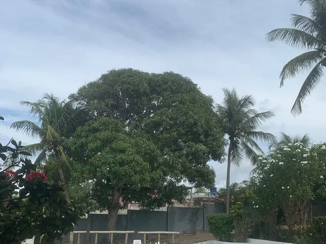 Imagem 2: Casa Sítio do Lado da Praia em Condomínio com 2000M2 e 7/4 com 5 Suítes e Piscina