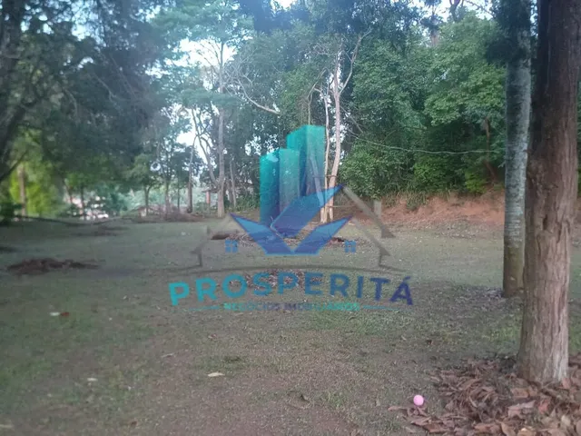 Imagem 4: .