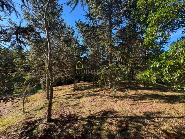 Imagem 10: Terreno Á Venda no Condominio Jardim da Serra, Rancho Queimado - Sc