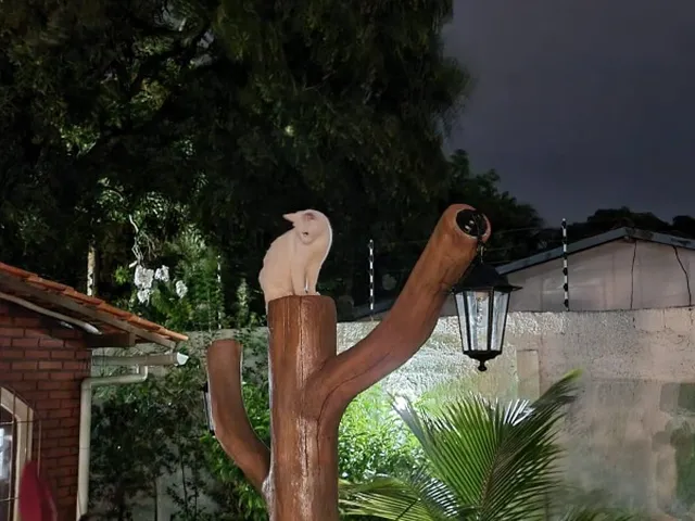 Imagem 13: CASA DE ALTO PADRÃO À VENDA ? ILHA DE ITAPARICA