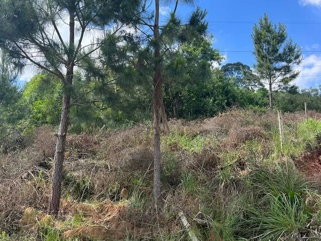 Imagem 3: Terreno - Terreno