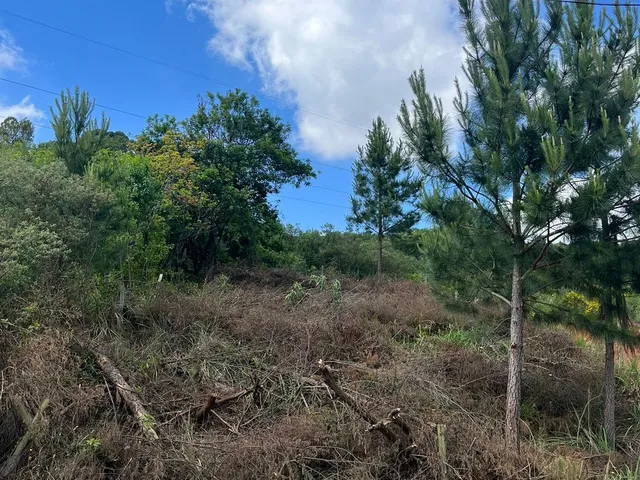 Imagem 2: Terreno - Terreno