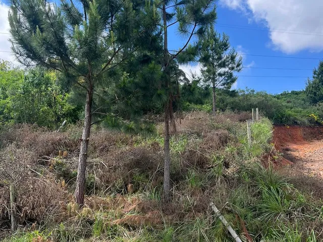 Imagem 4: Terreno - Terreno