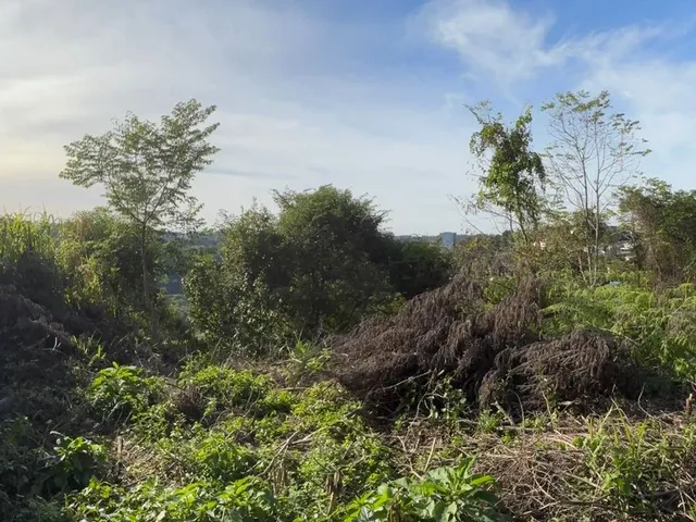 Imagem 5: Terreno Salgado Filho Próximo a Madal - Terreno Salgado Filho Próximo a Madal