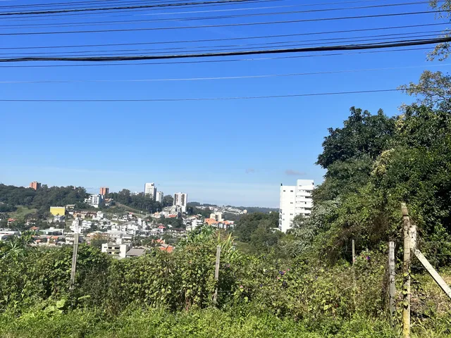 Imagem 5: Terreno Bairro Panazzolo - Terreno Bairro Panazzolo