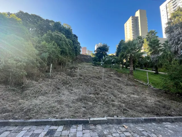 Imagem 10: Terreno Bairro Panazzolo - Terreno Bairro Panazzolo
