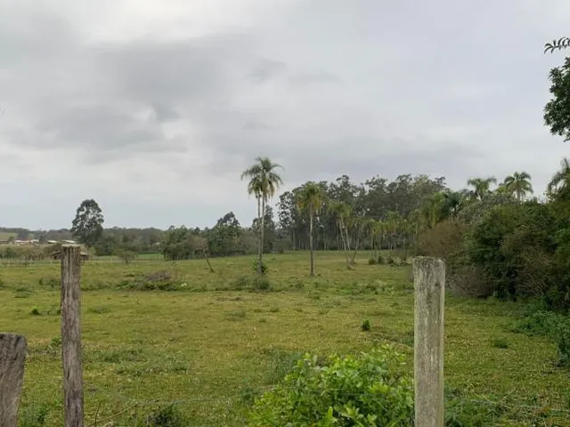 Imagem: ÁREA SALINAS - ÁREA SALINAS