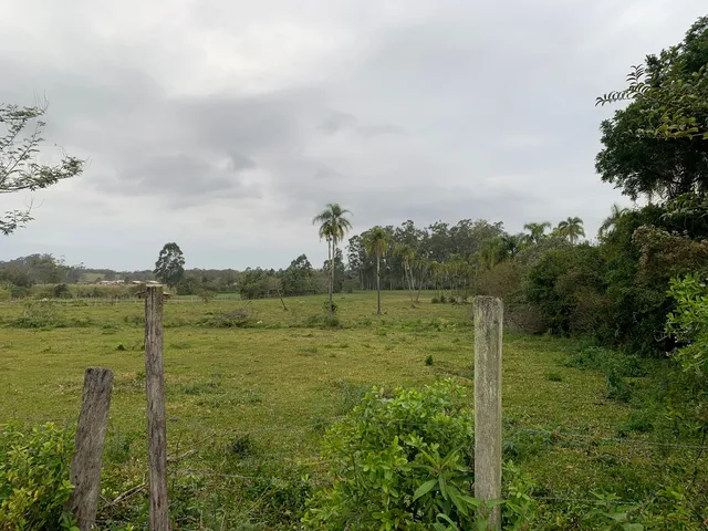 Imagem 5: ÁREA SALINAS - ÁREA SALINAS