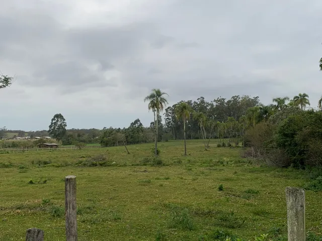 Imagem 2: ÁREA SALINAS - ÁREA SALINAS