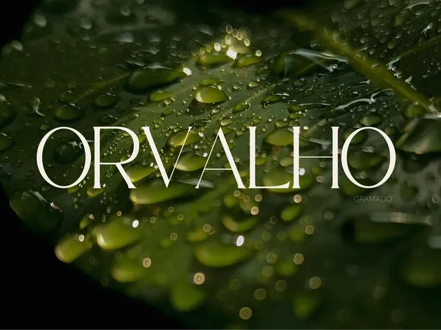Imagem 3: Orvalho - Orvalho