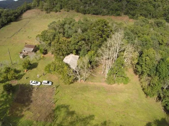 Imagem: Sitio Panelão - Gramado - Chácara à venda