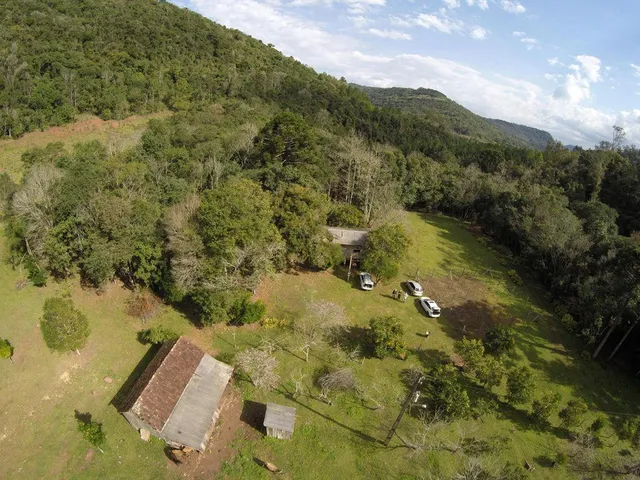 Imagem 9: Sitio Panelão - Gramado - Chácara à venda no bairro Linha Forqueta - Gramado/RS
