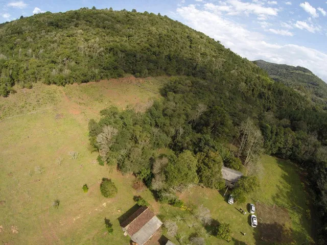 Imagem 10: Sitio Panelão - Gramado - Chácara à venda no bairro Linha Forqueta - Gramado/RS