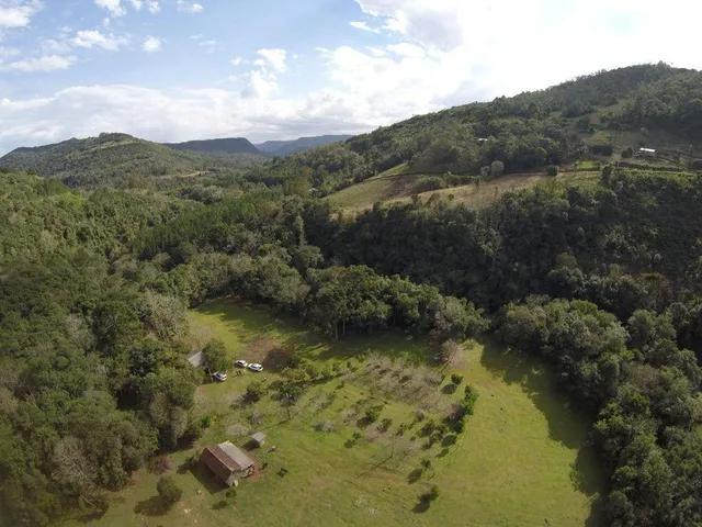 Imagem 11: Sitio Panelão - Gramado - Chácara à venda no bairro Linha Forqueta - Gramado/RS