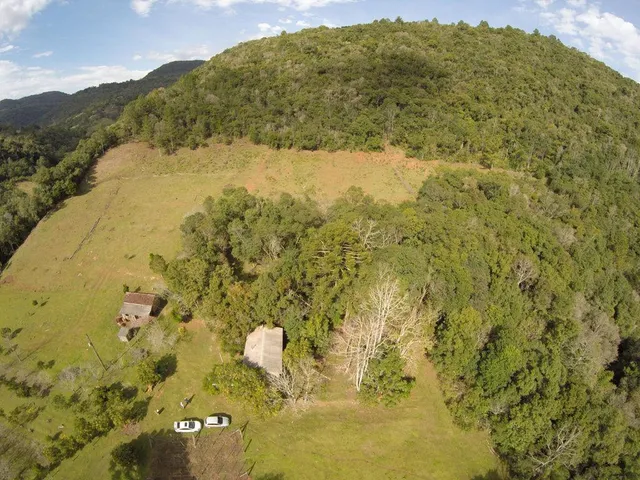 Imagem 4: Sitio Panelão - Gramado - Chácara à venda no bairro Linha Forqueta - Gramado/RS