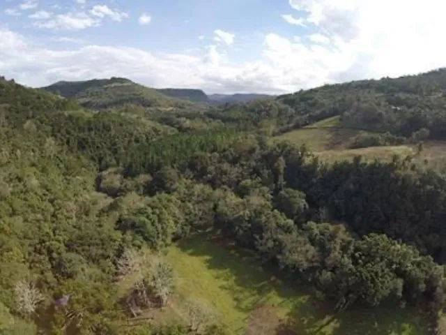 Imagem 7: Sitio Panelão - Gramado - Chácara à venda no bairro Linha Forqueta - Gramado/RS