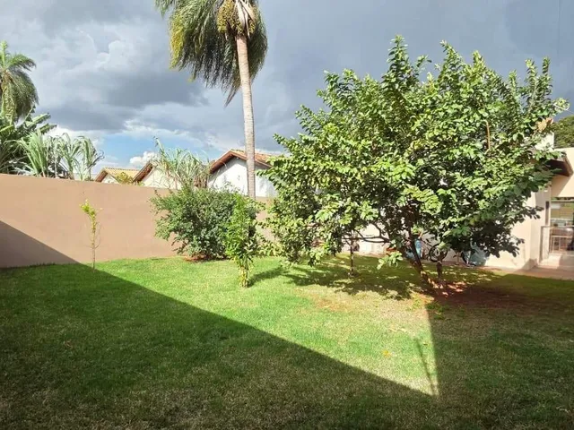 Imagem 16: Casa térrea com muito quintal