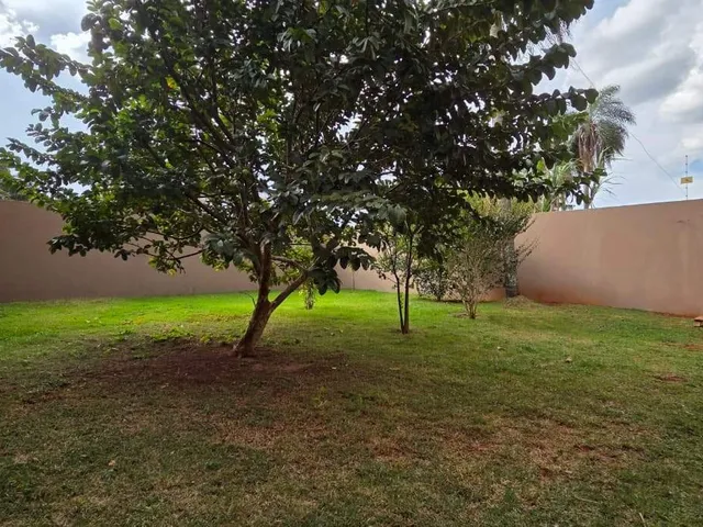 Imagem 12: Casa térrea com muito quintal